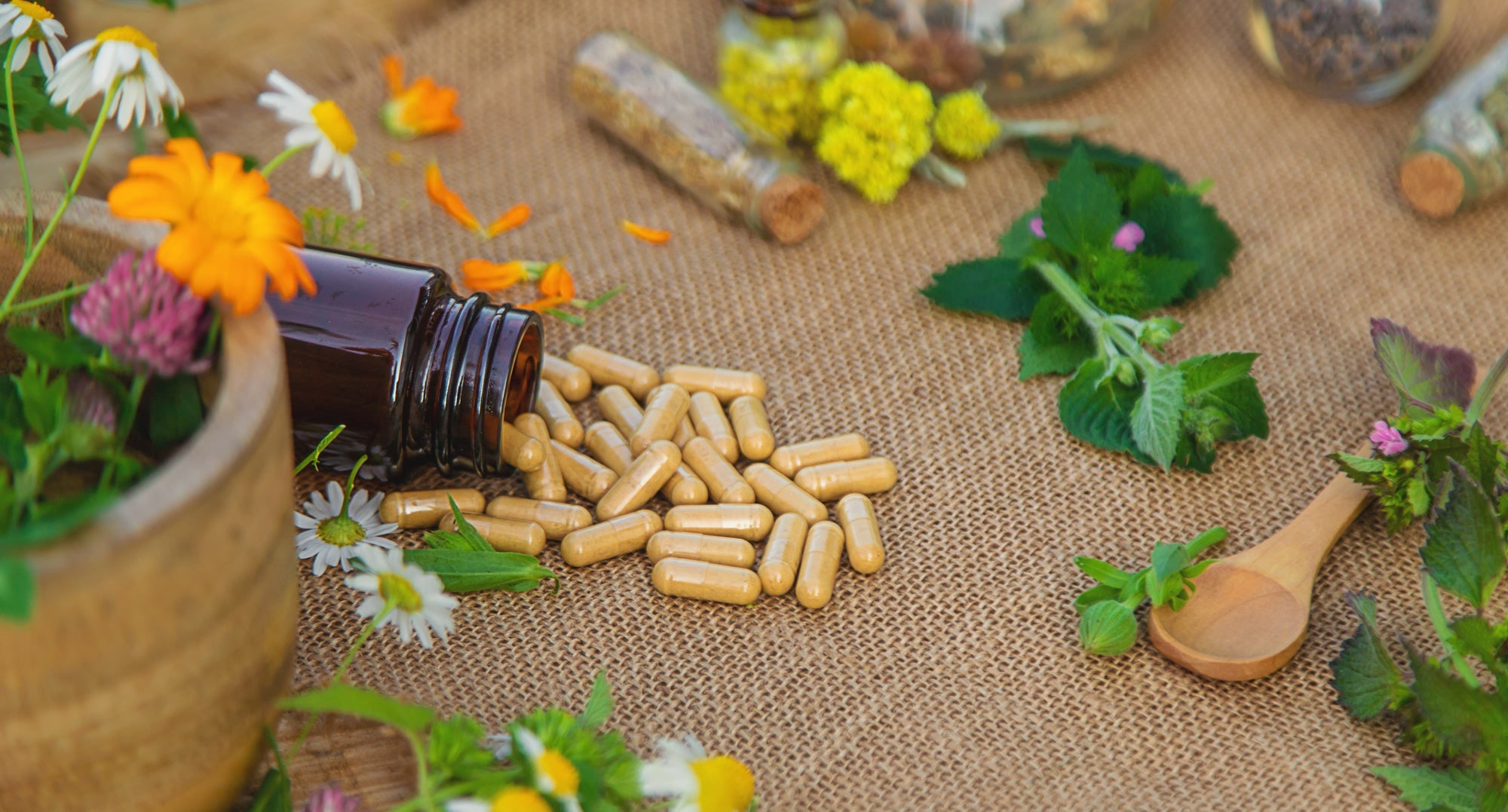 Botanical ingredients and capsules arranged on natural woven cloth